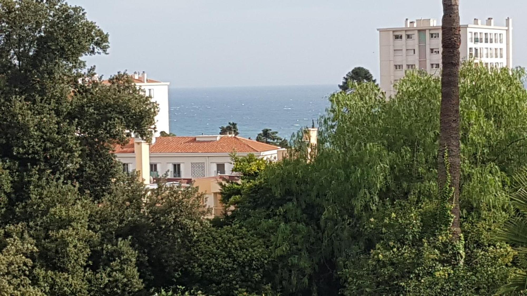 Les Palmiers A 700M De La Mer Ница Стая снимка