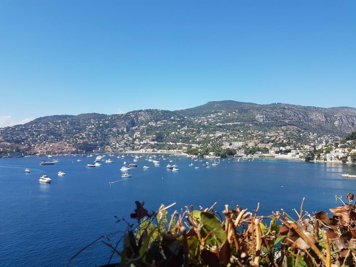 Les Palmiers A 700M De La Mer Ница Екстериор снимка